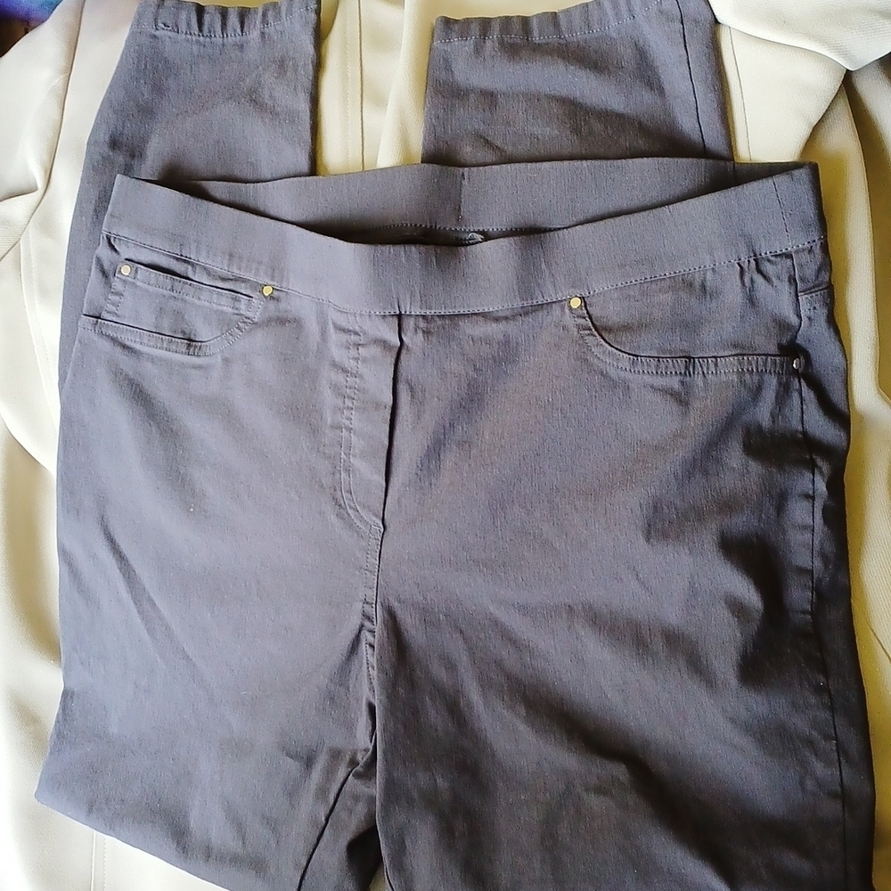 Rafaella Comfort Pull On Dark Gray Pants 16, stretch,  elastic waistband